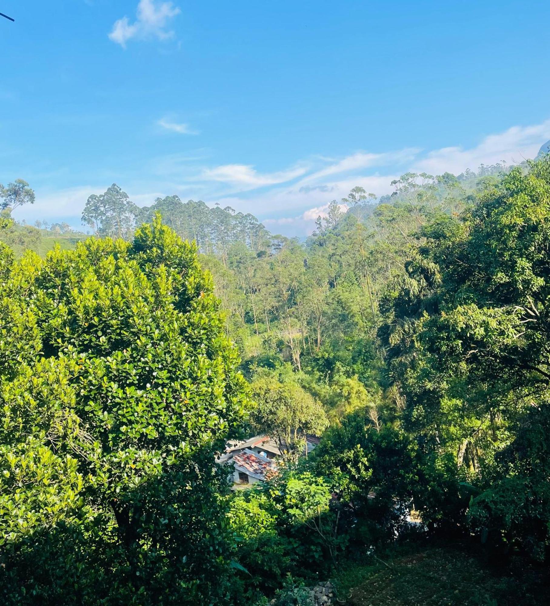 Sun Mount Adams Peak Hotel Nallathanniya Luaran gambar